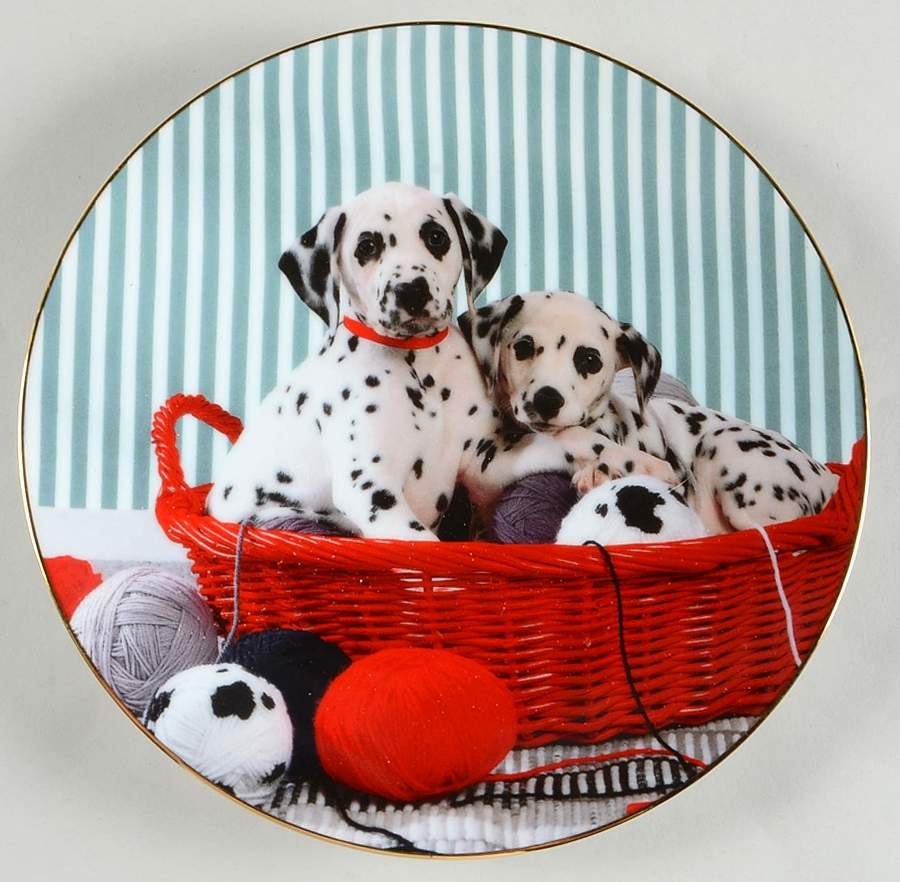 Those Delightful Dalmatians He's In My Spot - Boxed by Hamilton Collection-1