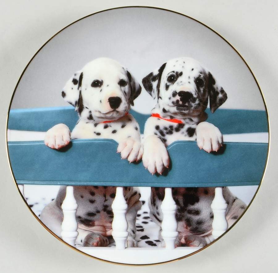 Those Delightful Dalmatians Naptime Already - Boxed by Hamilton Collection-1