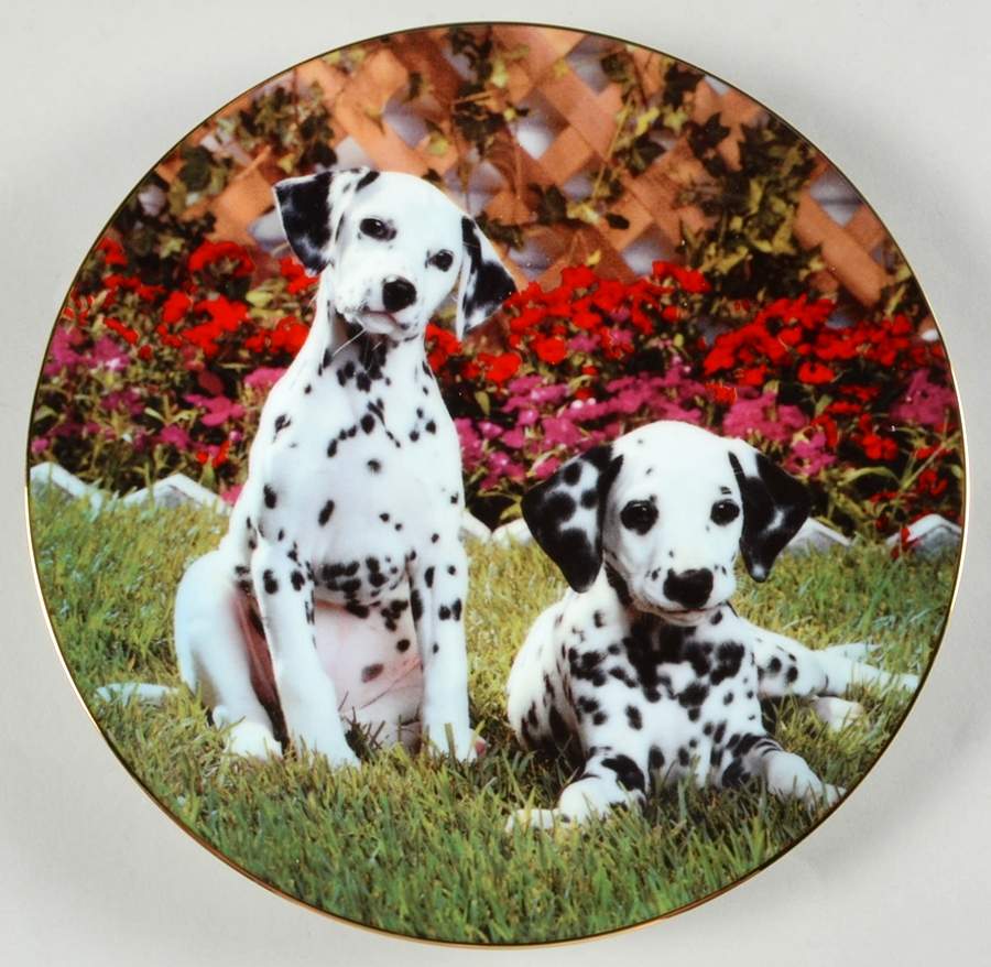 Those Delightful Dalmatians Sweet Spots - Boxed by Hamilton Collection-1