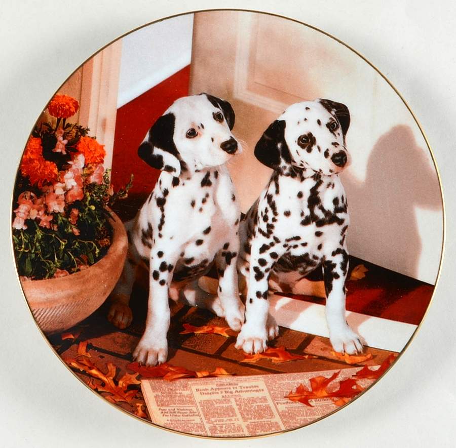 Those Delightful Dalmatians Spotted In Headlines - Boxed by Hamilton Collection-1