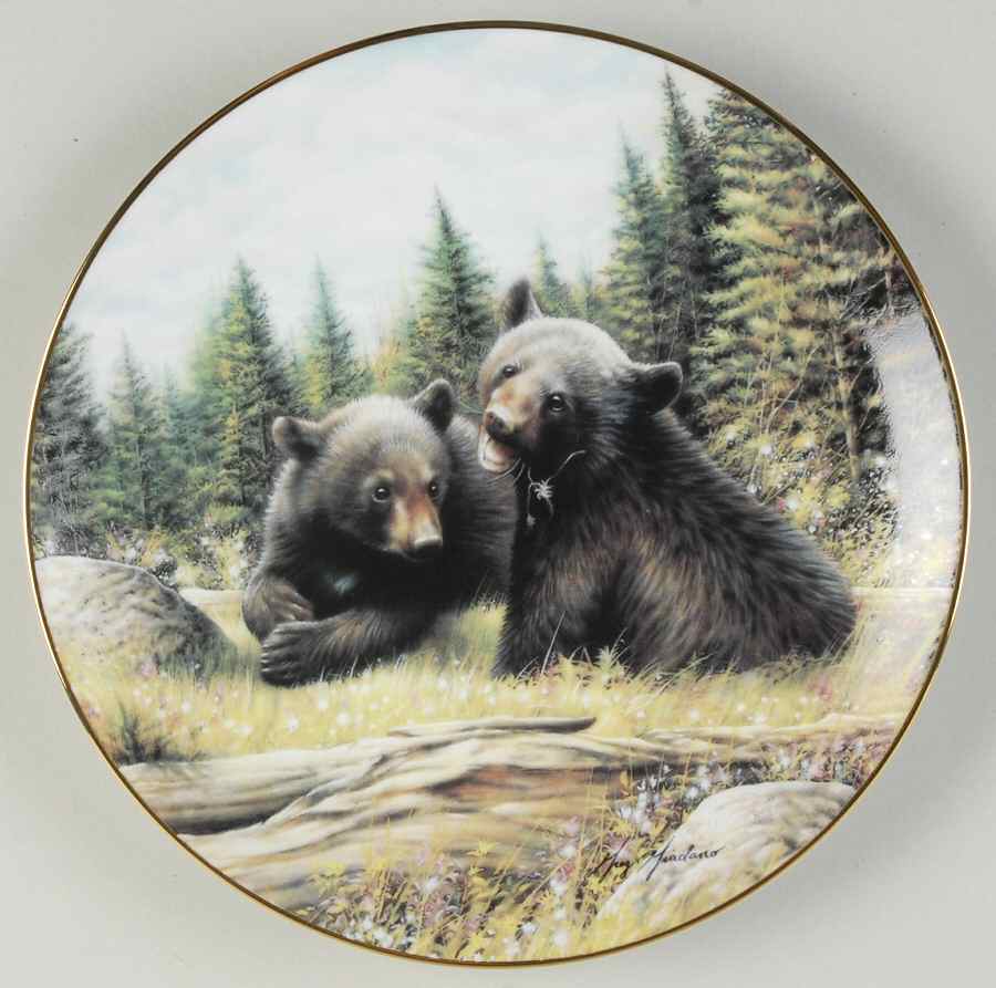 Woodland Encounters Field Day - Boxed by Hamilton Collection-1
