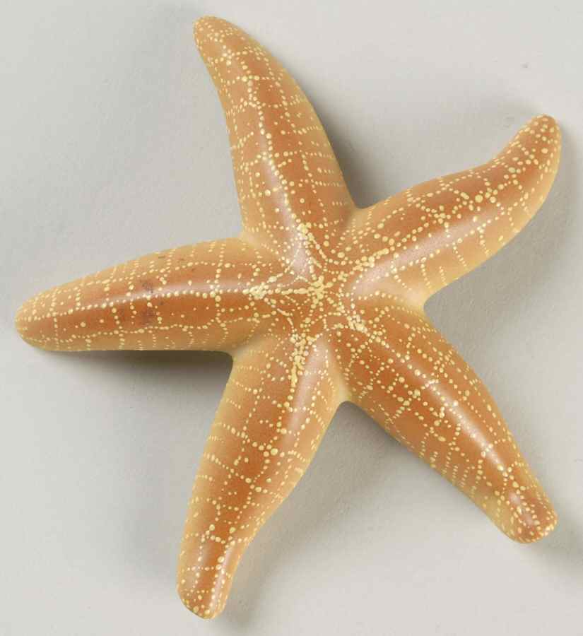 Shells Starfish-Natural - No Box by Herend-1