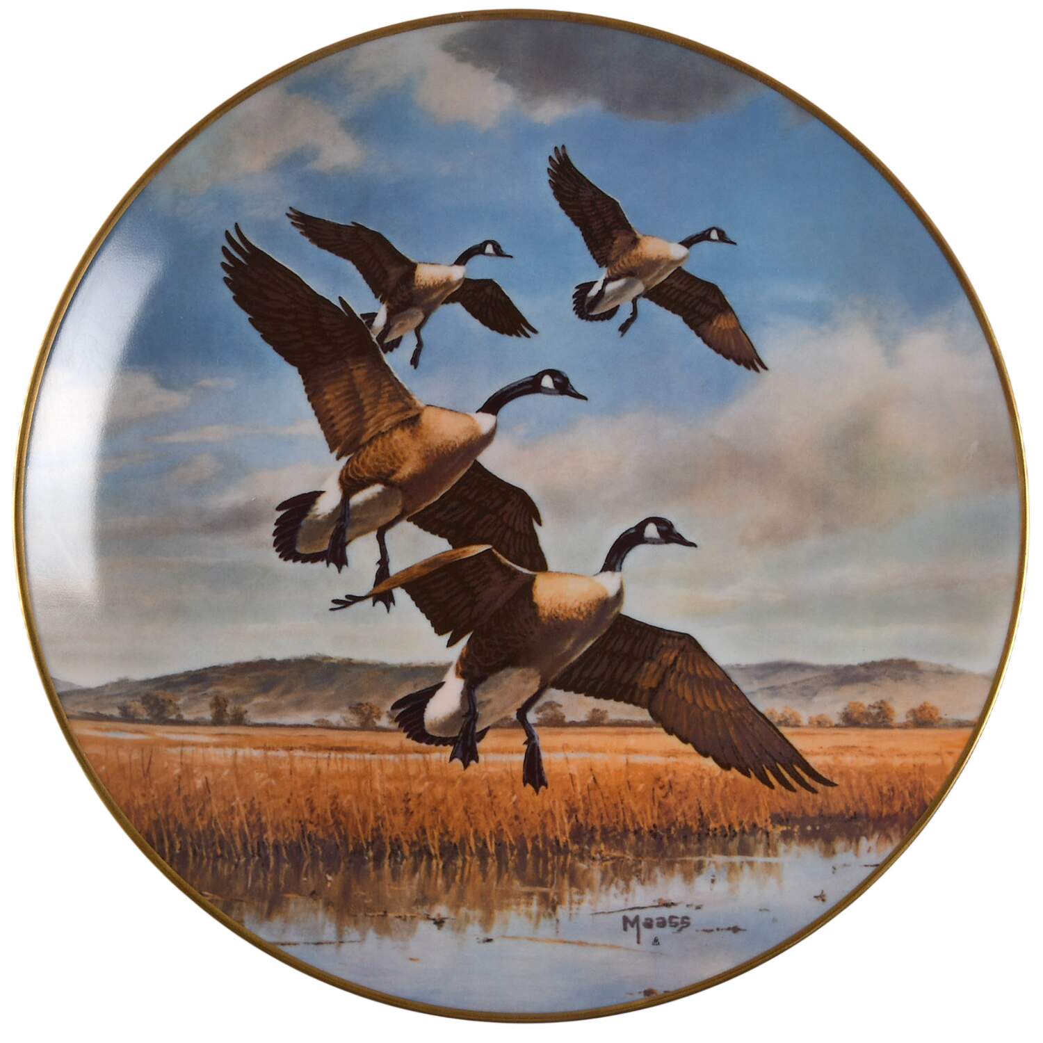 Wilderness Wings Gliding In - No Box by Hoyle-1
