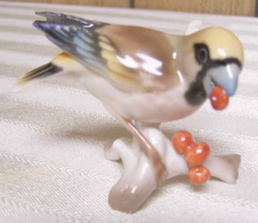 Gunther Granget Birds Crossbeak - Boxed by Hutschenreuther-1