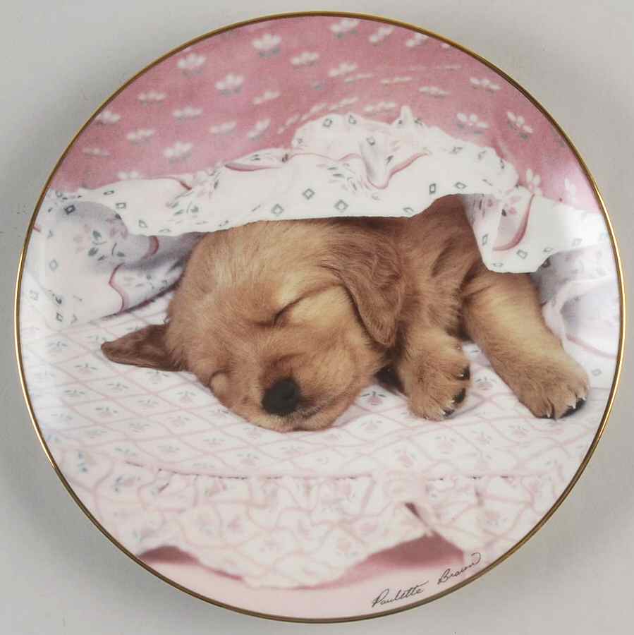 Golden Puppy Portraits Do Not Disturb - No Box by Hamilton Collection-1