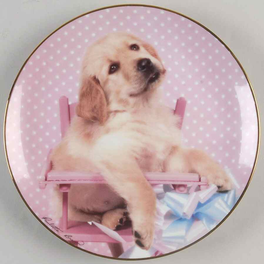 Golden Puppy Portraits Table Manners - Boxed by Hamilton Collection-1