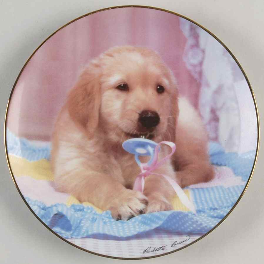 Golden Puppy Portraits Teething Time - Boxed by Hamilton Collection-1
