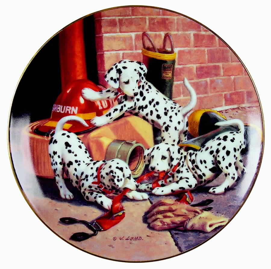 All In A Days Work Wheres The Fire? - No Box by Hamilton Collection-1