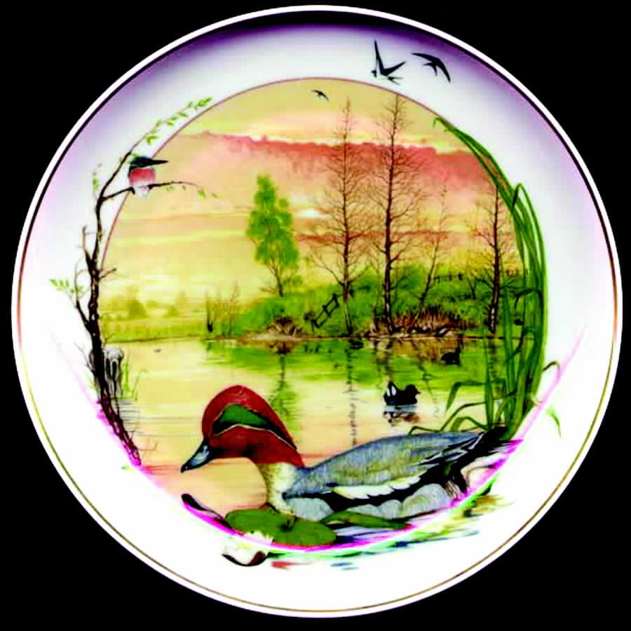 Birds of The Country Year May - Boxed by Hutschenreuther-1