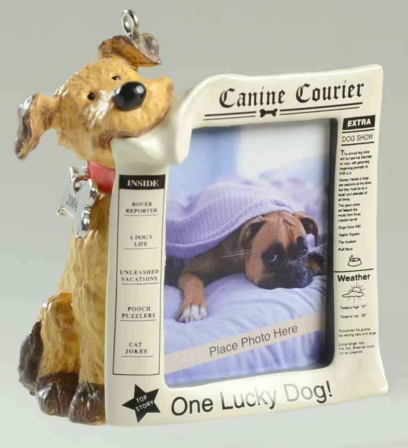 1999 Hallmark Christmas Ornaments Special Dog - No Box by Hallmark Gold Crown-1
