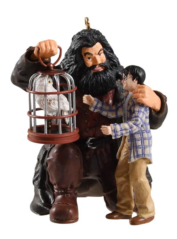 Harry Potter Harry! Happy Birthday! - Boxed by Hallmark Gold Crown-1