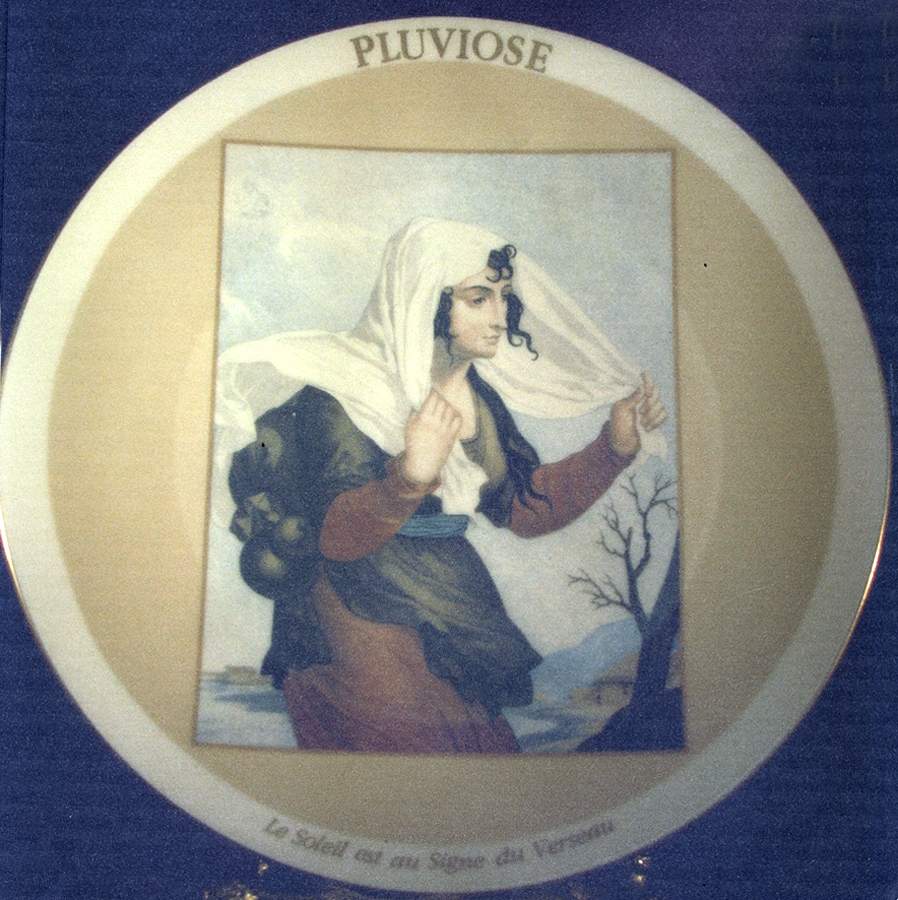 Bicentenaire de la Revolution Francaise Pluviose - No Box by Haviland-1