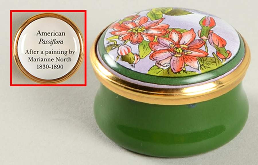 Royal Botanic Gardens Kew Box American Passiflora - No Box by Halcyon Days-1