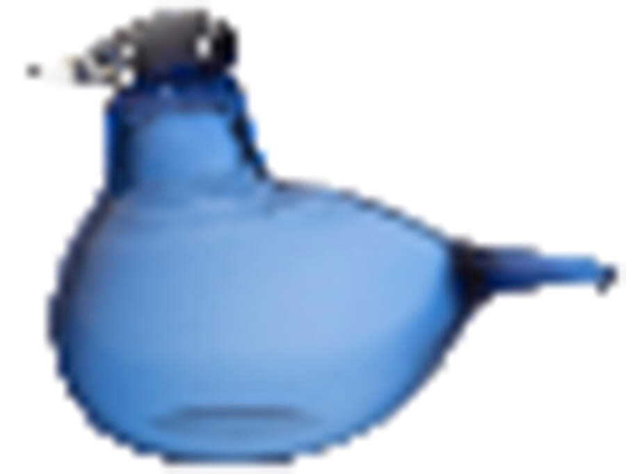 Oiva Toikka Birds Little Tern- Ultramarine - Boxed by Iittala-1