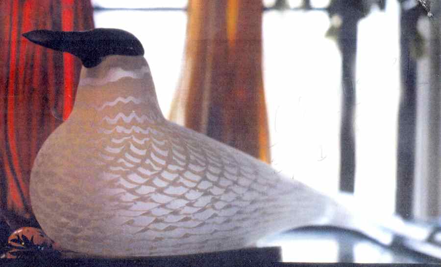 Oiva Toikka Birds Tern - No Box by Iittala-1