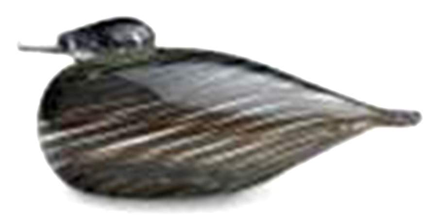 Oiva Toikka Birds Whippoorwill - No Box by Iittala-1
