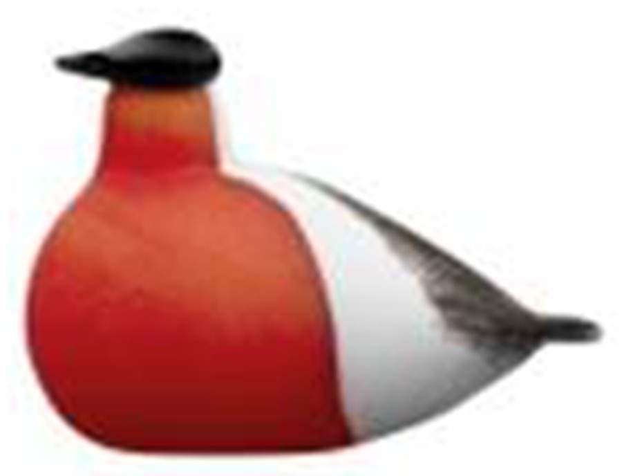 Oiva Toikka Birds Bullfinch - Boxed by Iittala-1