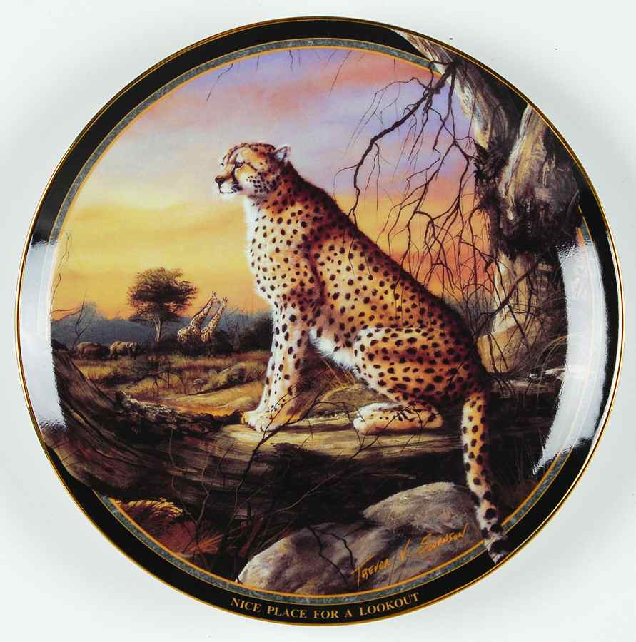 Cheetahs of Africa Nice Place For A Lockout - No Box by Islandia-1