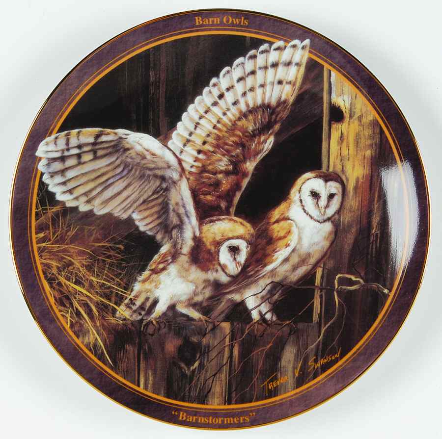 Birds of Prey Barnstormer-Barn Owls - No Box by Islandia-1