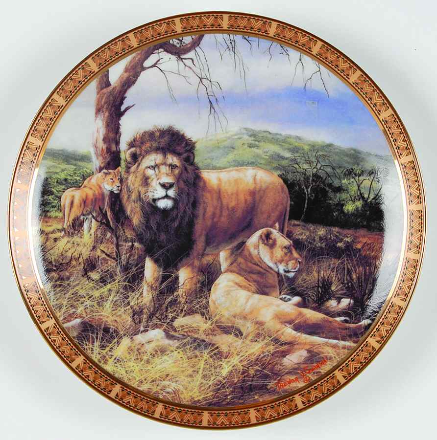 African Wildlife Lion - Boxed by Islandia-1