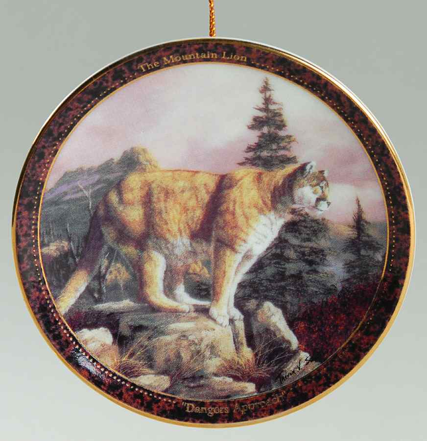 Rocky Mountain Wildlife Mountain Lion -Dangers Approach - Boxed by Islandia-1