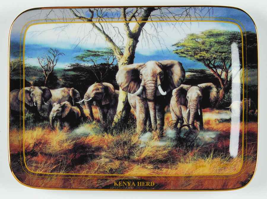 Wildlife Kenya Herd-Elephant Family - Boxed by Islandia-1