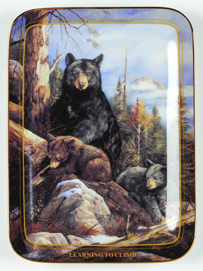 Wildlife Learning To Climb-Black Bear Family - No Box by Islandia-1
