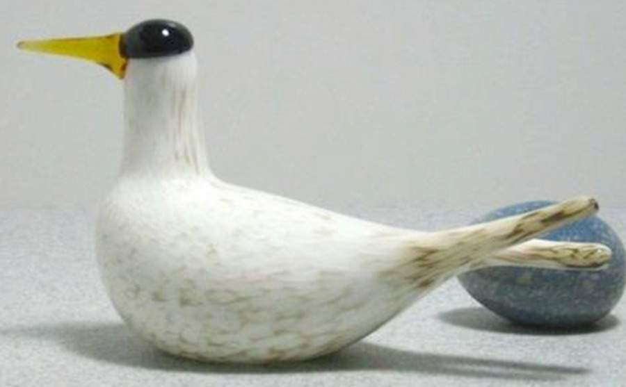 Oiva Toikka Annual Bird Arctic Tern - Boxed by Iittala-1