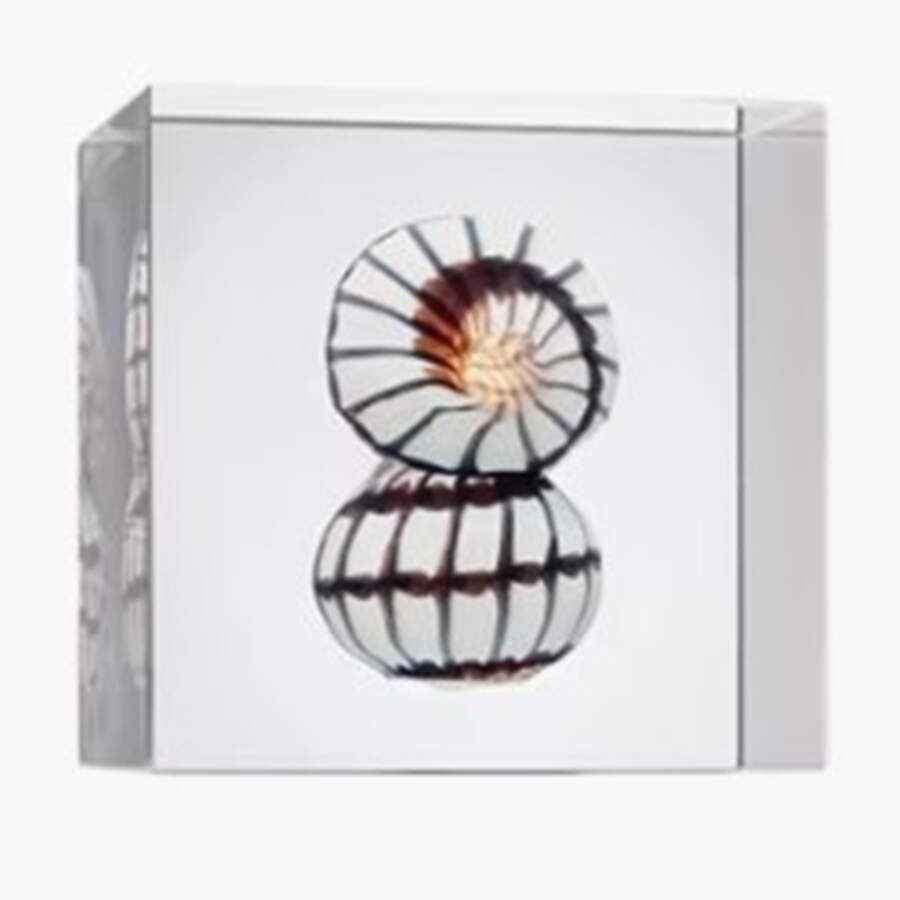 Annual Cube 2022 Annual Cube - Boxed by Iittala-1