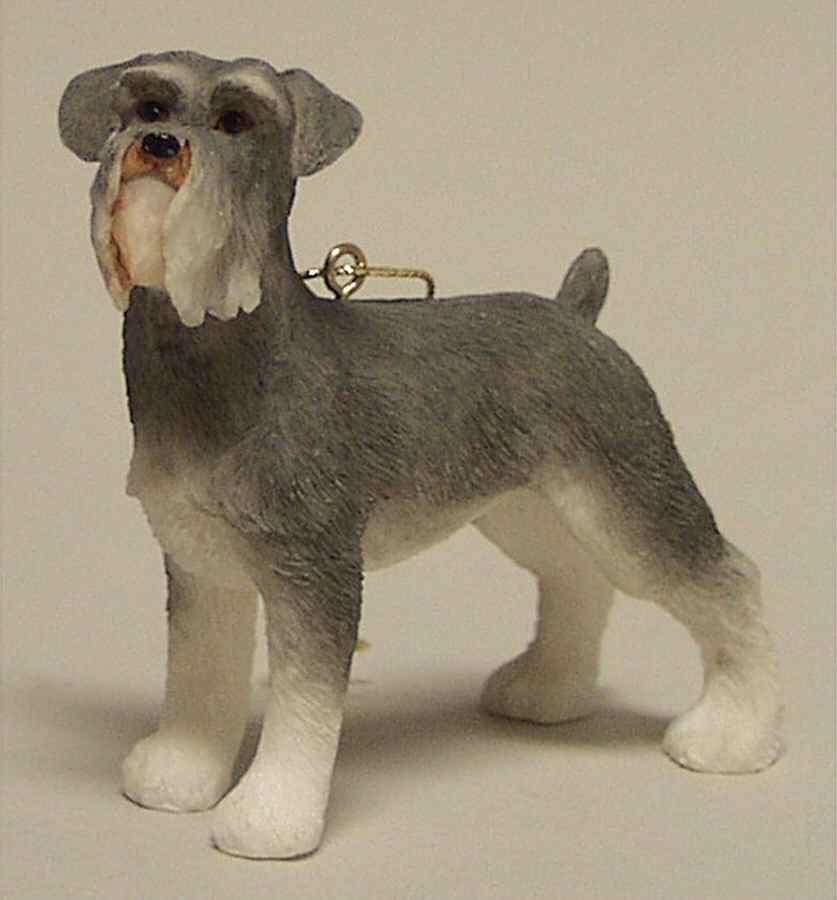 It's Raining Cats & Dogs Miniature Schnauzer - No Box by Joseph Warren Miller-1