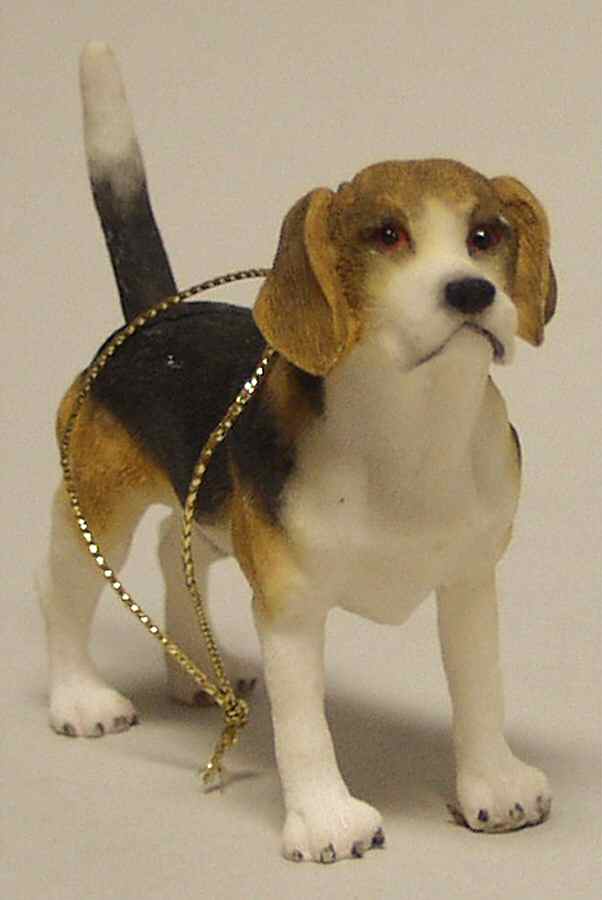 It's Raining Cats & Dogs Beagle - No Box by Joseph Warren Miller-1