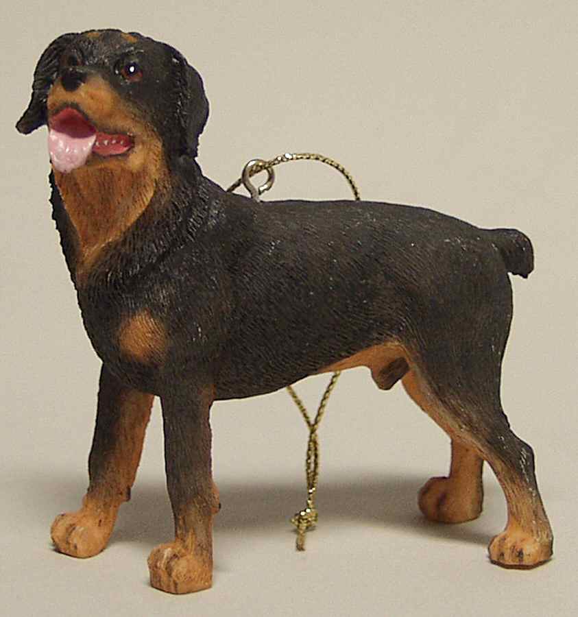 It's Raining Cats & Dogs Rottweiller - No Box by Joseph Warren Miller-1