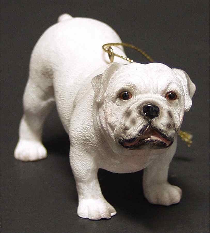 It's Raining Cats & Dogs Bulldog Ii - No Box by Joseph Warren Miller-1