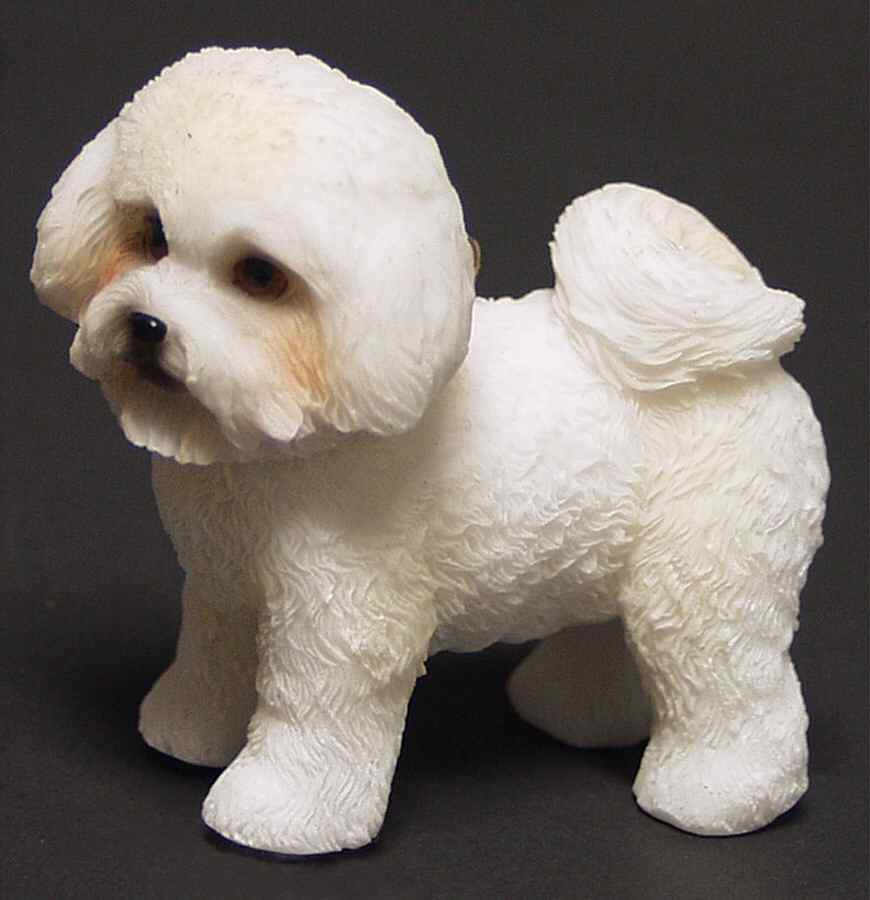 It's Raining Cats & Dogs Bichon Frise - No Box by Joseph Warren Miller-1