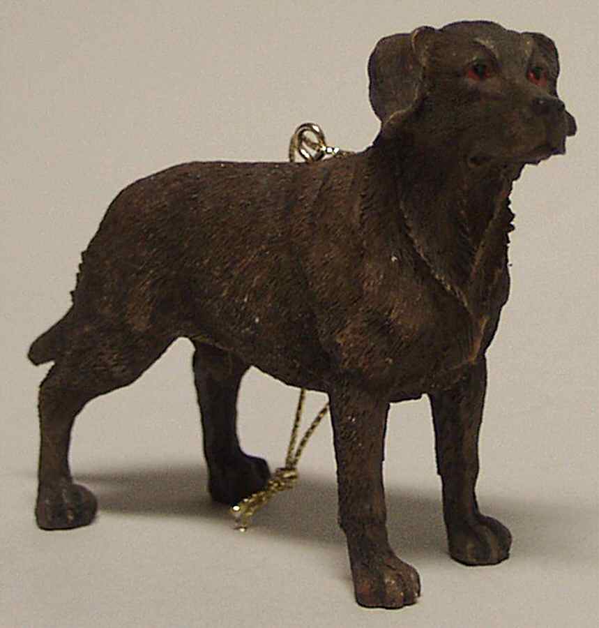 It's Raining Cats & Dogs Chocolate Lab - No Box by Joseph Warren Miller-1