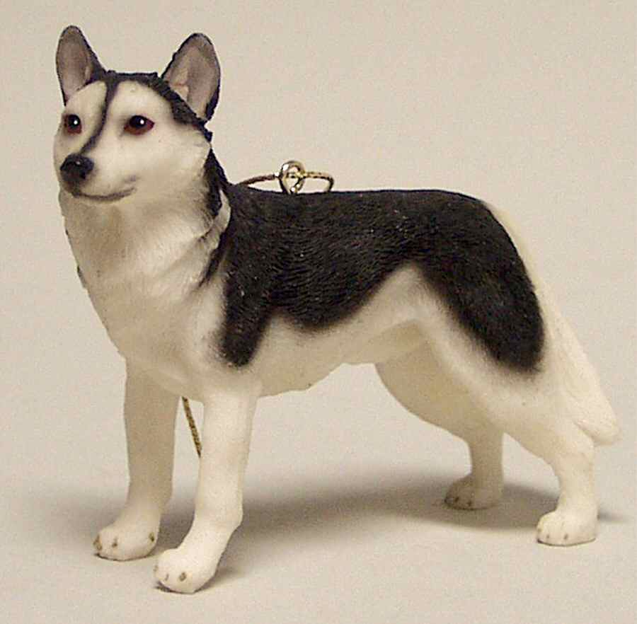 It's Raining Cats & Dogs Husky - No Box by Joseph Warren Miller-1