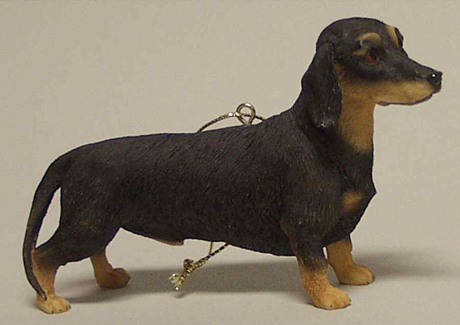 It's Raining Cats & Dogs Dachshund-Black - No Box by Joseph Warren Miller-1