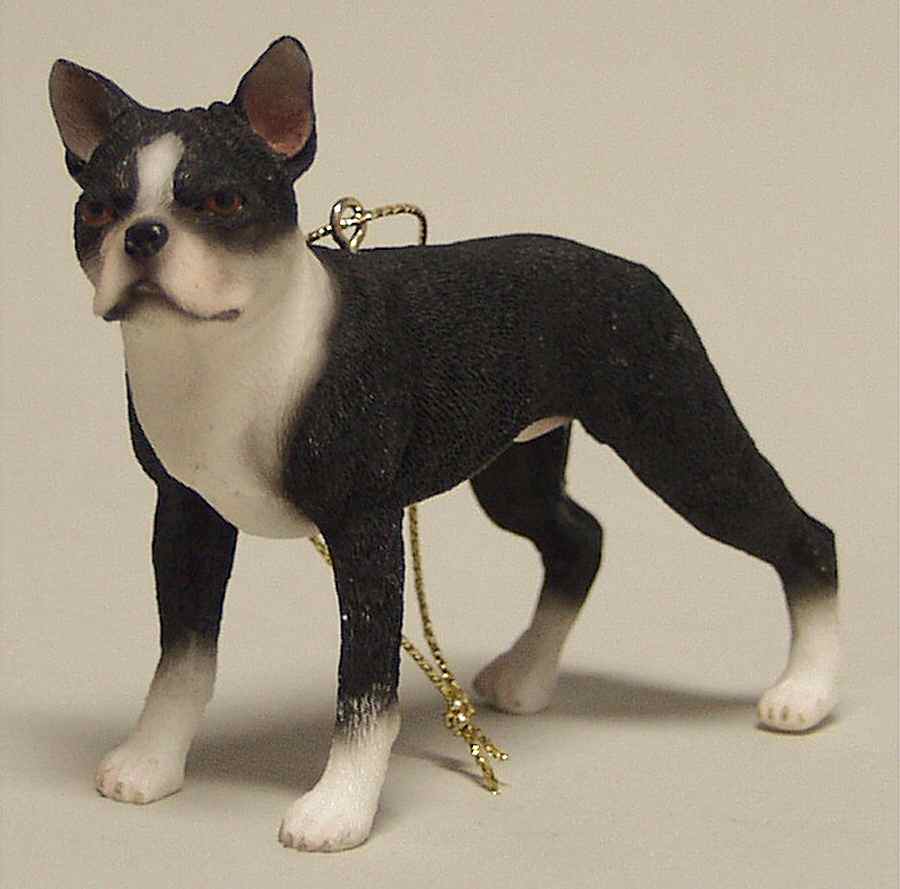 It's Raining Cats & Dogs Boston Terrier - No Box by Joseph Warren Miller-1