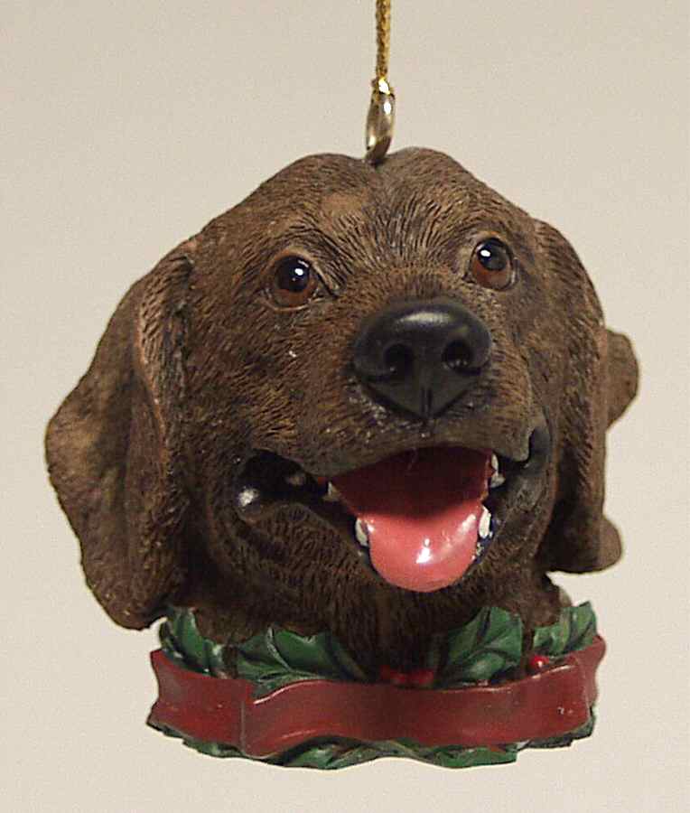 It's Raining Cats & Dogs Chocolate Lab-Head - No Box by Joseph Warren Miller-1