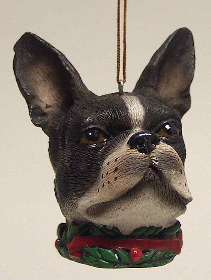 It's Raining Cats & Dogs Boston Terrier-Head - No Box by Joseph Warren Miller-1
