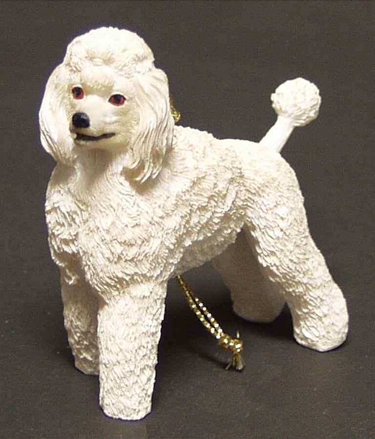 It's Raining Cats & Dogs Poodle-White - No Box by Joseph Warren Miller-1
