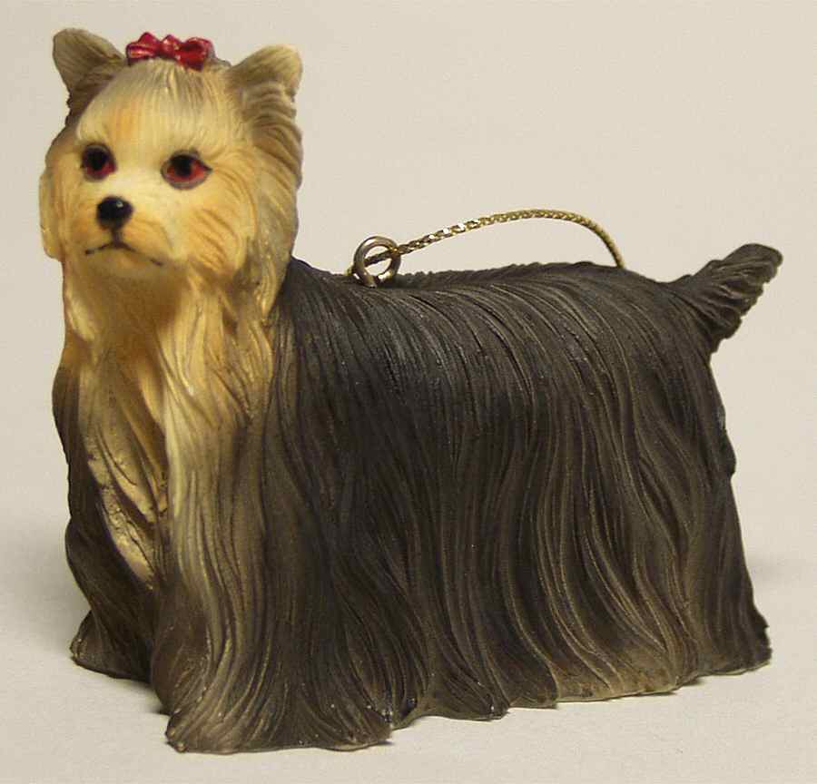 It's Raining Cats & Dogs Yorkshire Terrier - No Box by Joseph Warren Miller-1