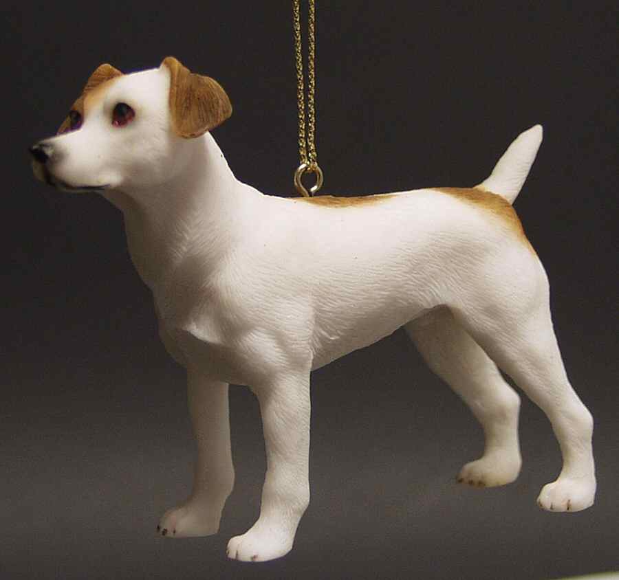 It's Raining Cats & Dogs Jack Russell - No Box by Joseph Warren Miller-1