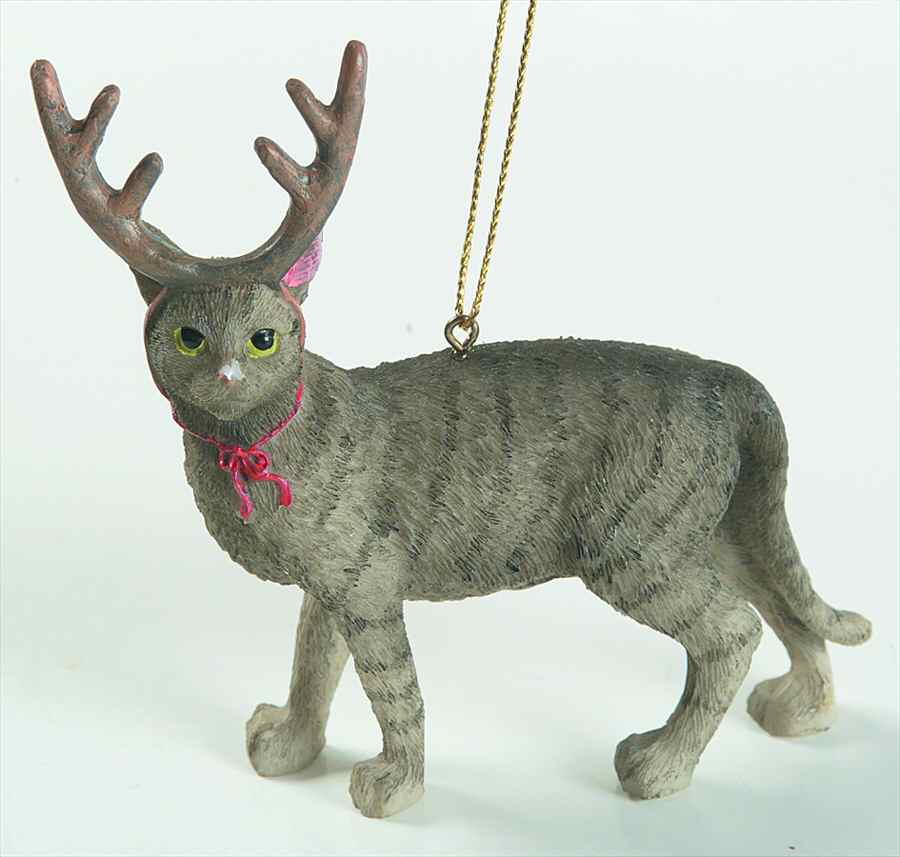 It's Raining Cats & Dogs Cat With Antler - No Box 42 by Joseph Warren Miller-1