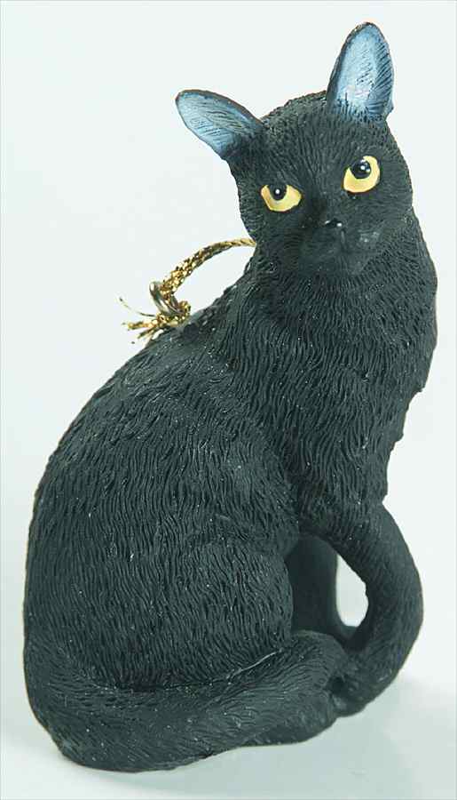 It's Raining Cats & Dogs Black Cat-Sitting - No Box by Joseph Warren Miller-1