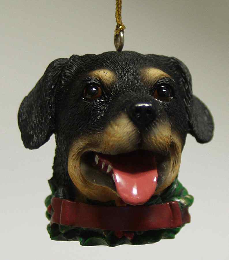It's Raining Cats & Dogs Rottweiller-Head - No Box by Joseph Warren Miller-1