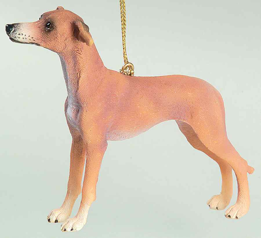 It's Raining Cats & Dogs Greyhound-Fawn - No Box by Joseph Warren Miller-1