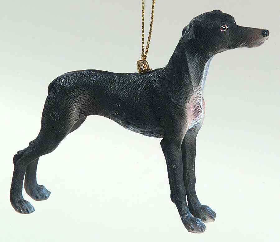 It's Raining Cats & Dogs Greyhound-Black - No Box by Joseph Warren Miller-1
