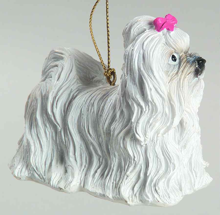 It's Raining Cats & Dogs Maltese - No Box by Joseph Warren Miller-1