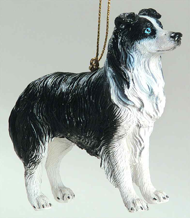 It's Raining Cats & Dogs Border Collie - No Box by Joseph Warren Miller-1